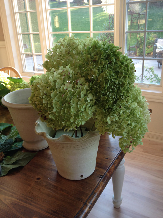 dried hydrangea arrangement