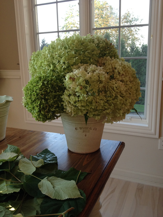 finished dried hydrangea pot