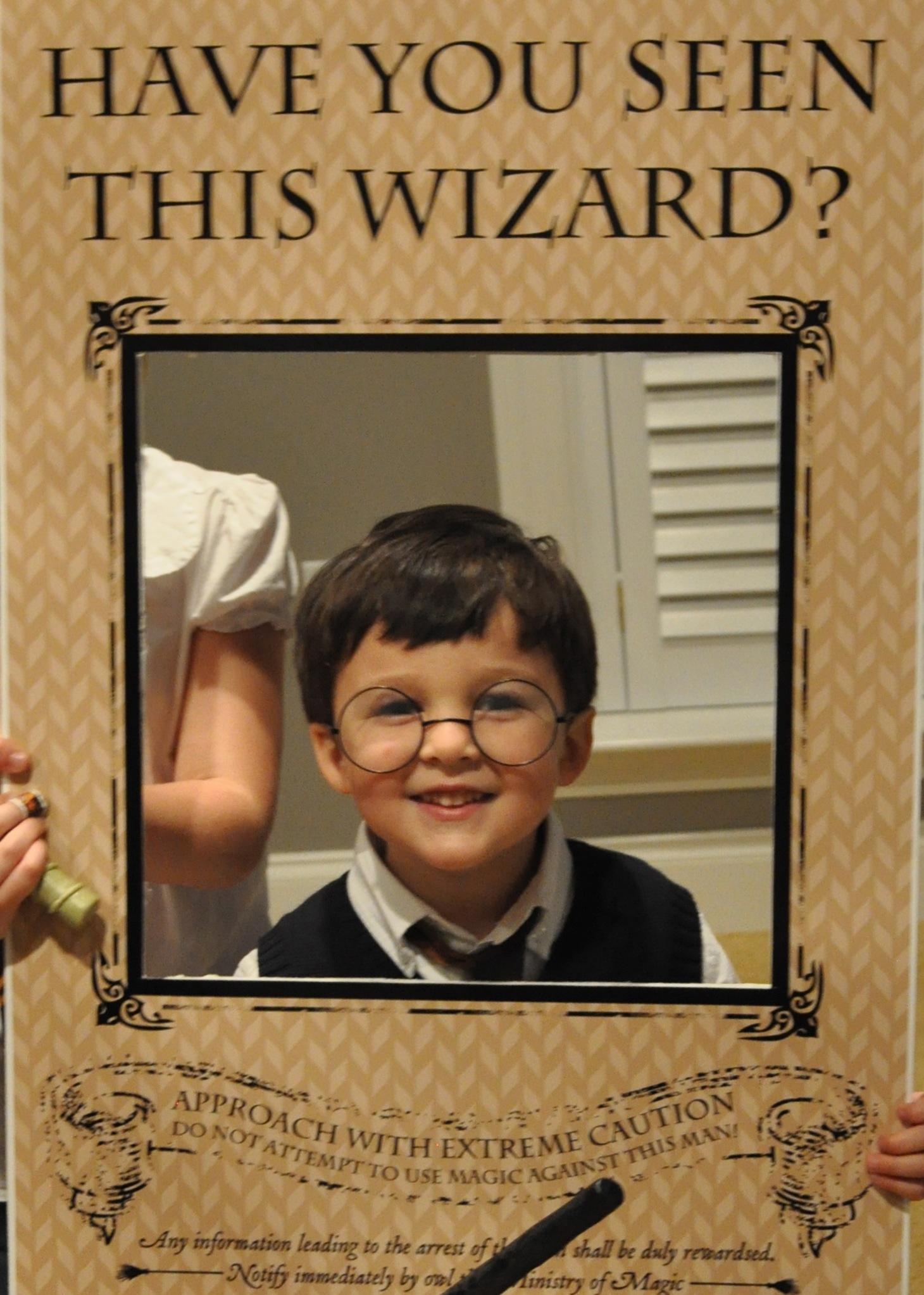 12 Kid-Friendly Ways to Celebrate the 20th Anniversary of Harry Potter -  Mommy Nearest