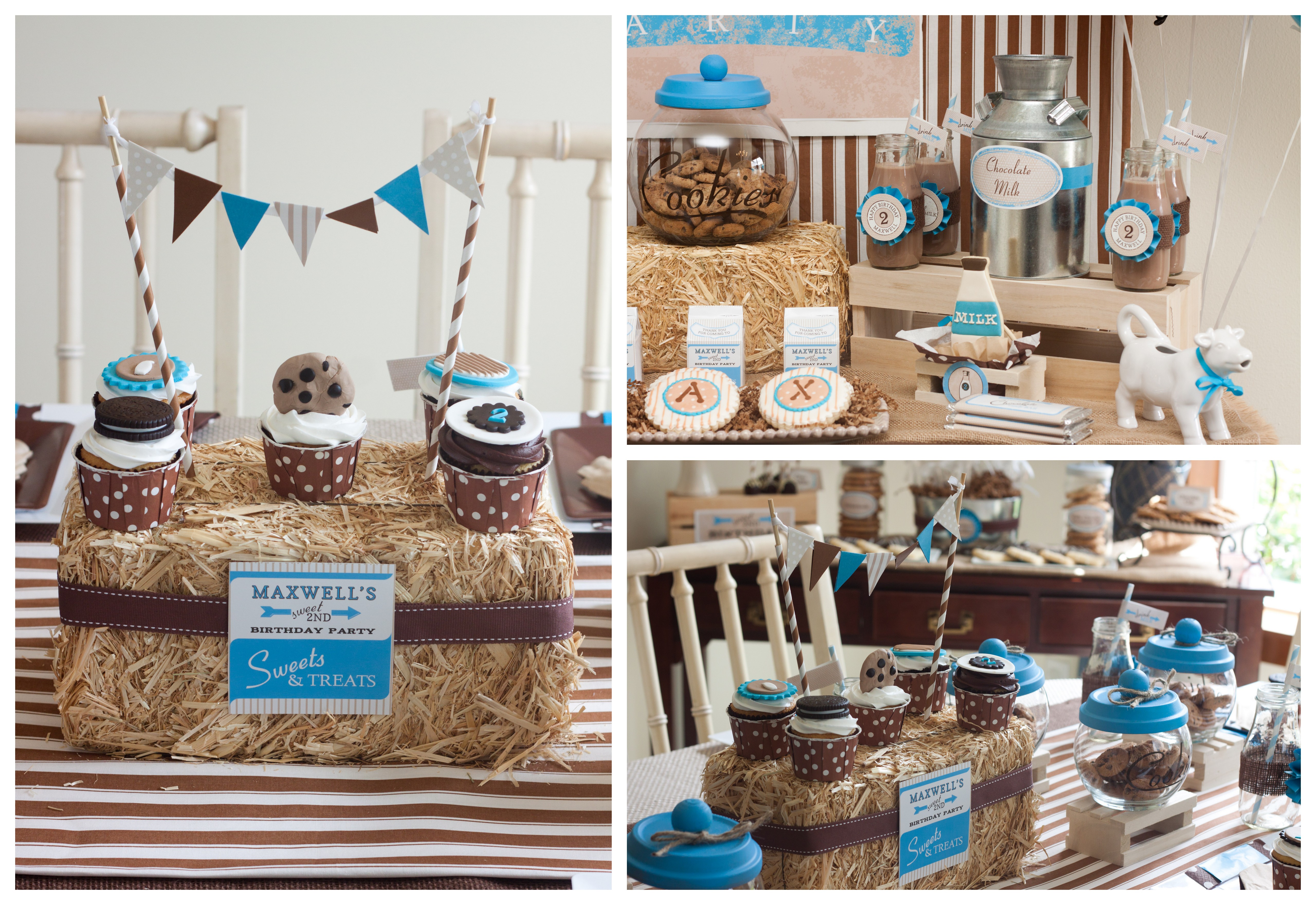 An Adorable Cookie Monster Party - Anders Ruff Custom Designs, LLC