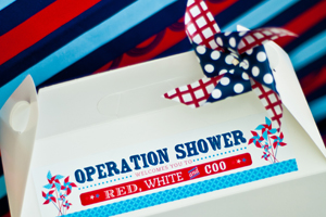 Operation Shower Peek