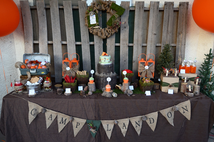 A Backyard Camping Birthday Party! - Anders Ruff Custom Designs, LLC