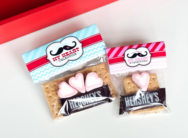 mustache valentines day bag toppers