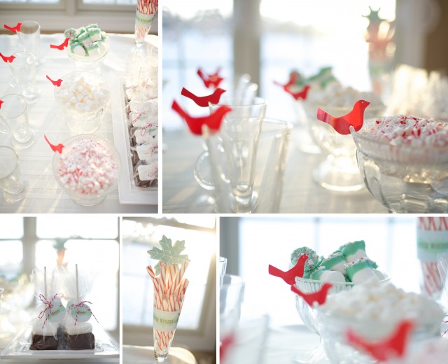 winter-wonderland-hot-cocoa-sticks-bar-mint-candy-marshmallows-chocolate-ganache-glass-mugs-red-birds-crushed-mint