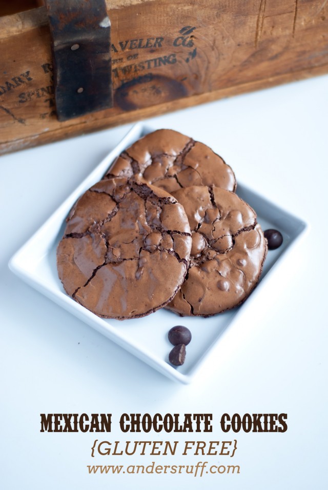 gluten-free-mexican-chocolate-cookies