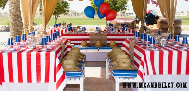 western party ideas