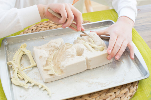 dinosaur dig party ideas