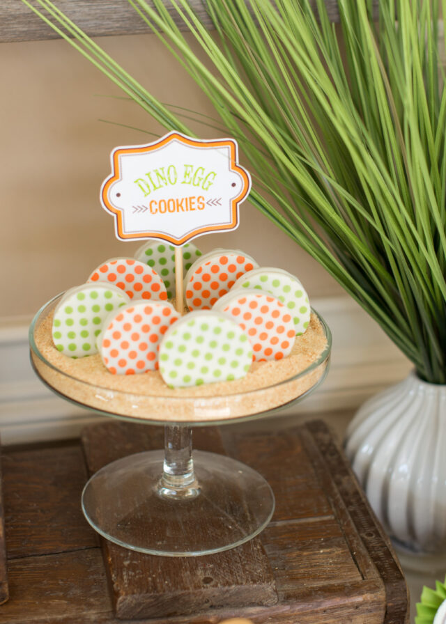 dinosaur dig party ideas