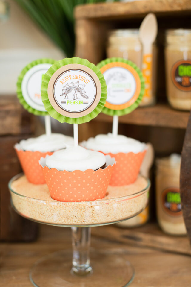 dinosaur dig party ideas
