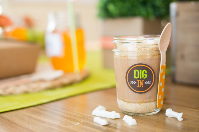 dinosaur dig party ideas
