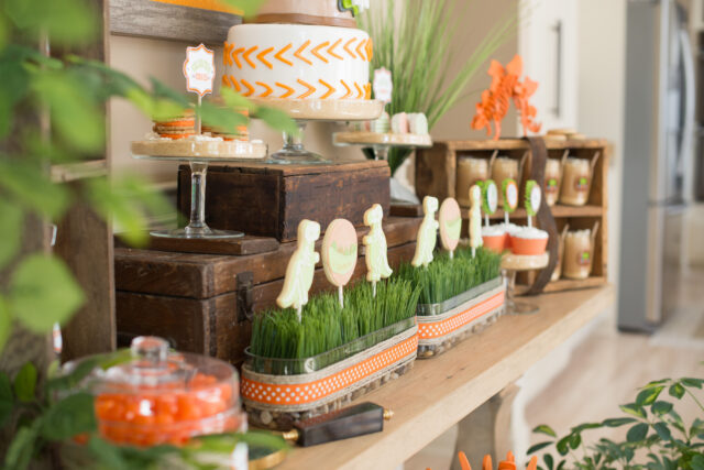 dinosaur dig party ideas