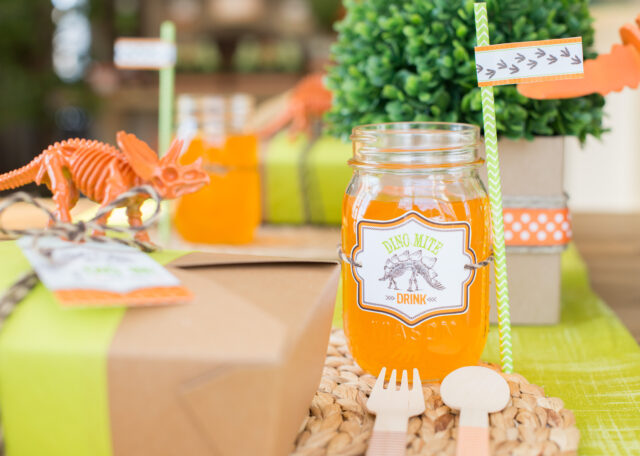 dinosaur dig party ideas