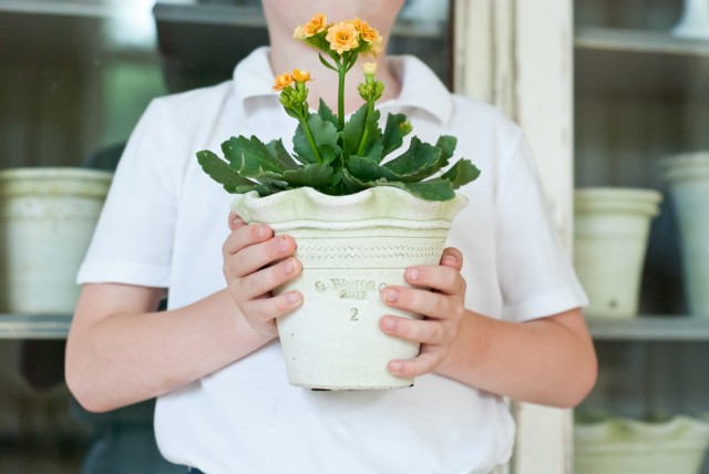 DIY: How to Create Dried Hydrangea Arrangements for Home Decor - Anders  Ruff Custom Designs, LLC