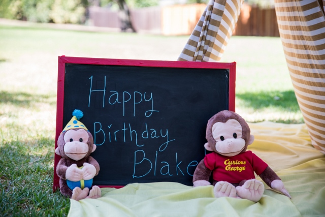 Outdoor Curious George Party - Anders Ruff Custom Designs, LLC