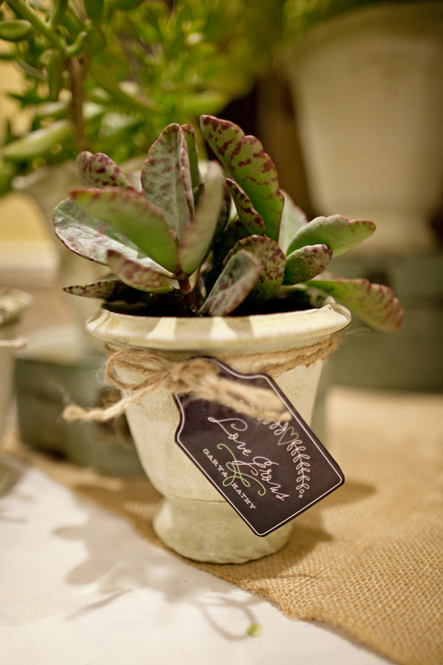 love-grows-favor-tags