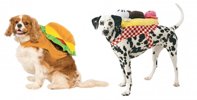 Soda shop pet costumes