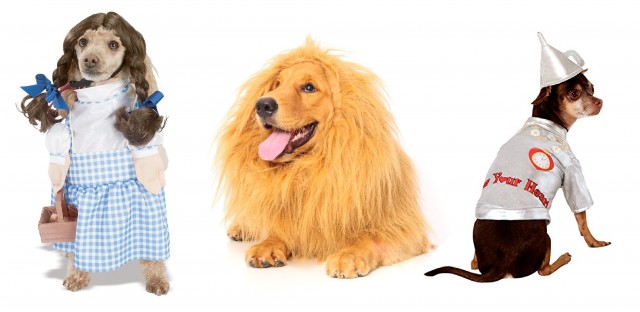 wizard of oz pet costumes