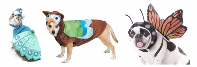 pet costumes with wings