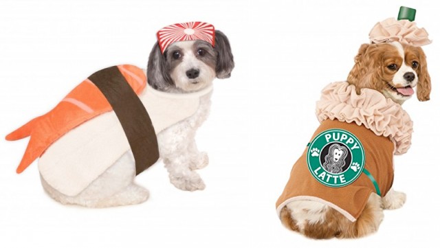 trendy pet costumes