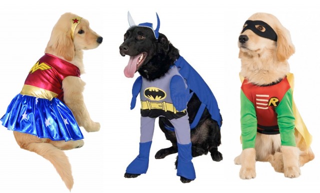 super hero pets