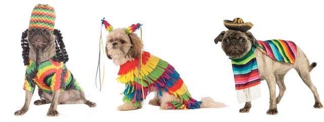 Fiesta party pets