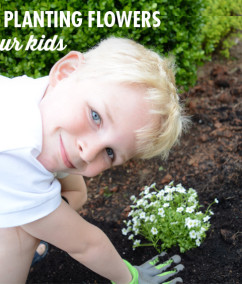 Helpful Tips for Planting Flowers with Your Kids – Monrovia Plants