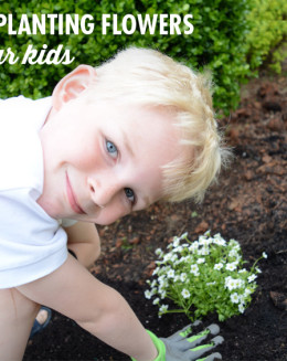 planting with kids