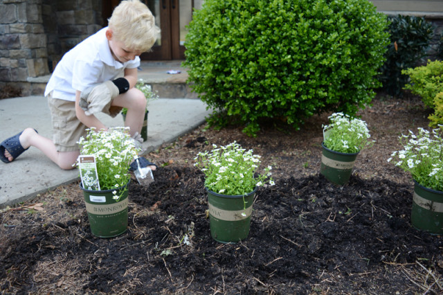 planting with kids