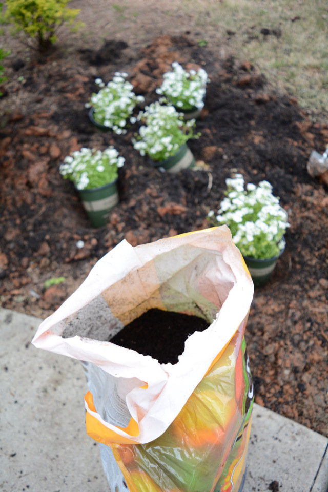 planting flowers with kids