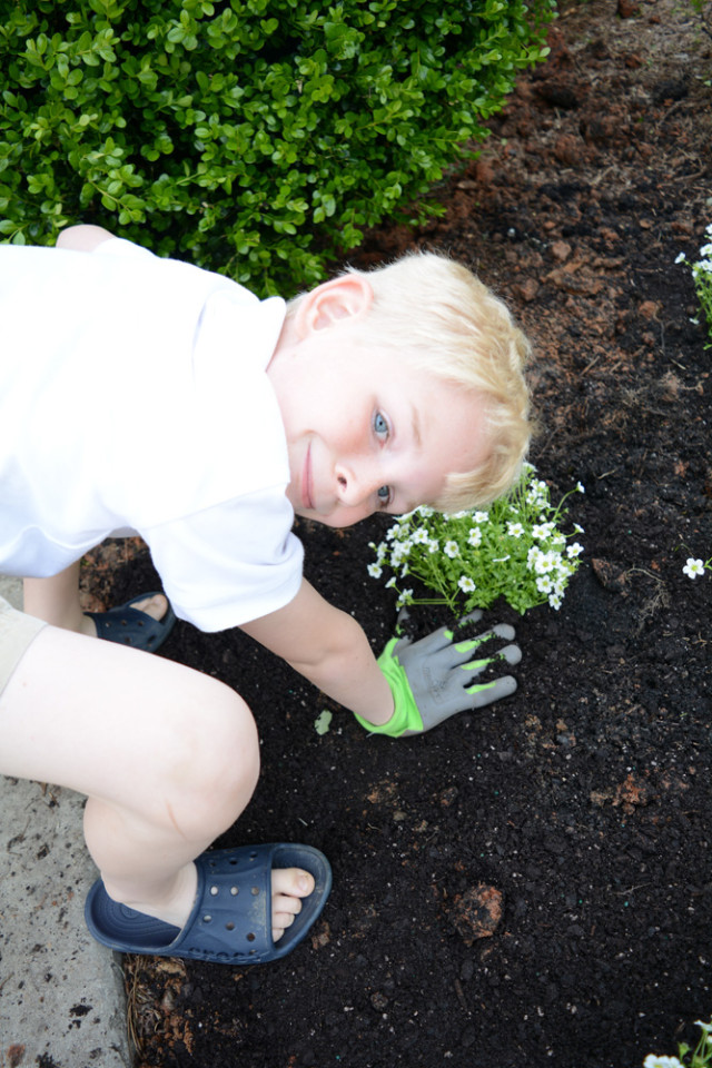 tips-for-planting-a-garden-with-your-kids-11