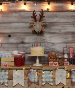 Rustic Christmas Party