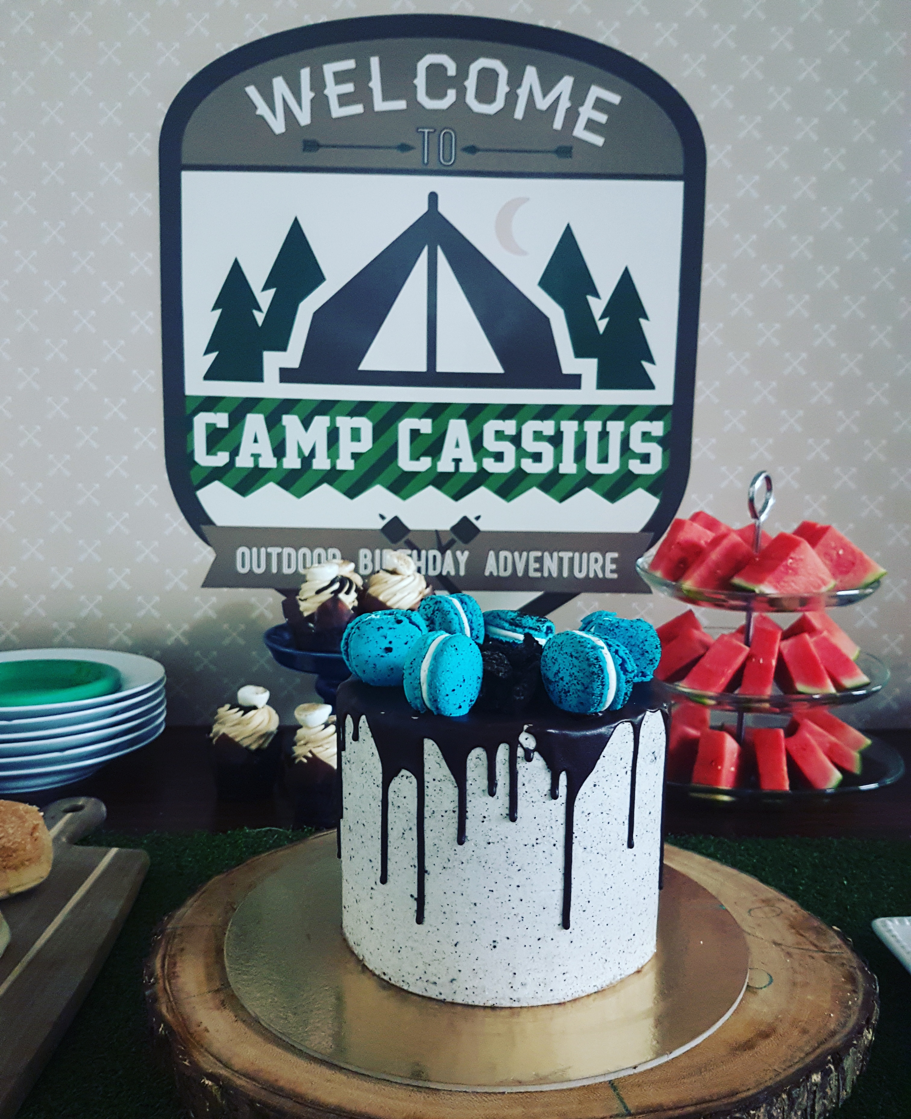 Camping Themed Birthday Party - Anders Ruff Custom Designs, LLC