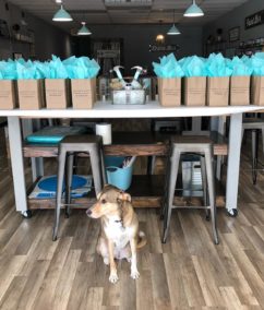 Florida Welcomes AR Workshop Winter Park