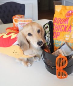 A New Way to “BOO” Your Friends and Neighbors