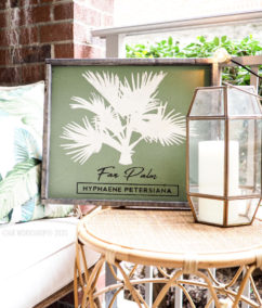 New AR Workshop Release: Botanical Tree Collection