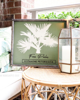 botanical tree collection
