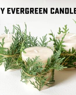 DIY evergreen candles