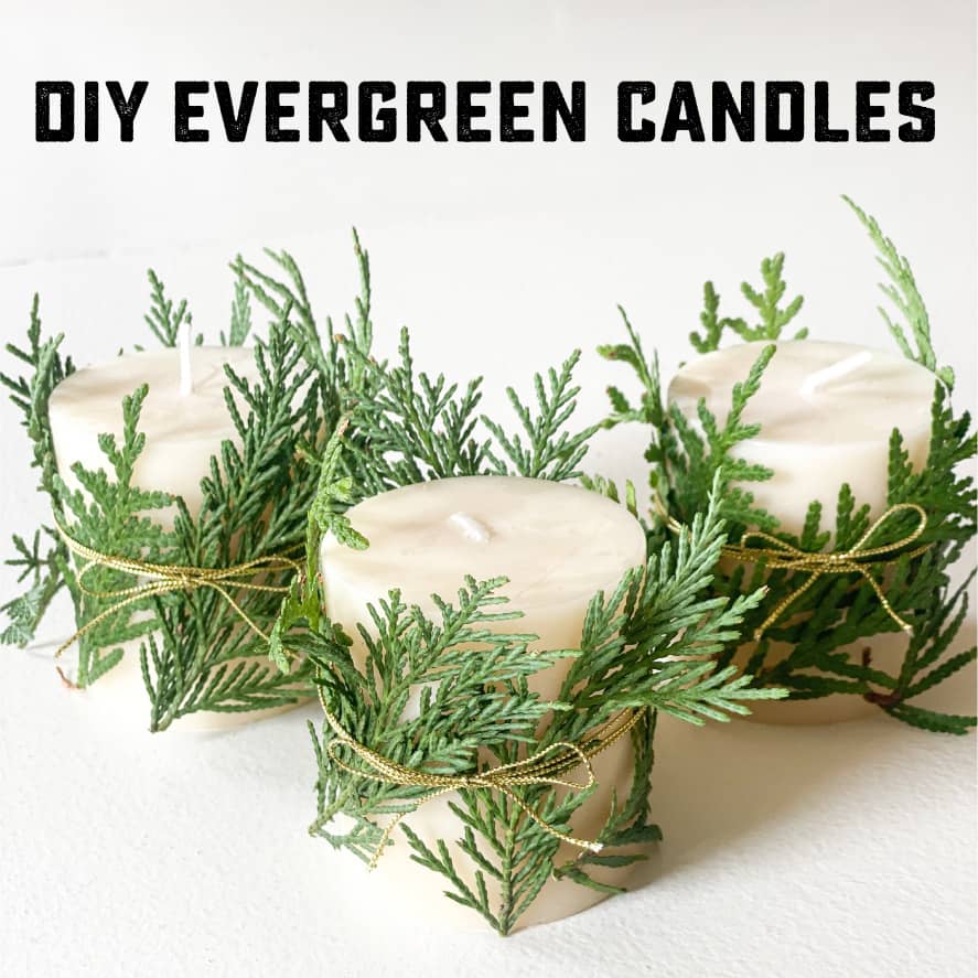 DIY evergreen candles