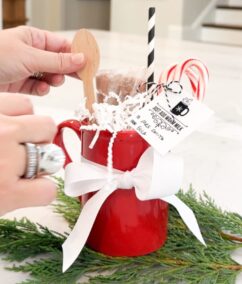 Hot Cocoa Mug Gift Idea