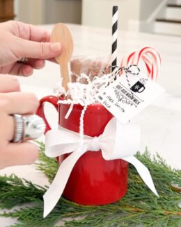 hot cocoa gift idea