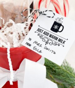 Hot Cocoa Mug Gift Idea