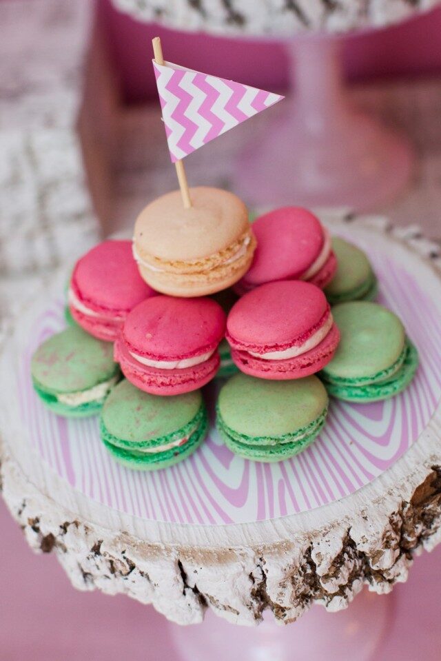 Emily Maynard Glam Camping Birthday Party