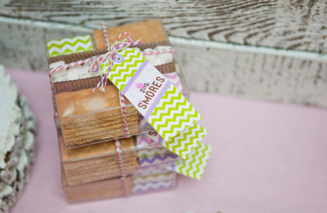 Emily Maynard Glam Camping Birthday Party
