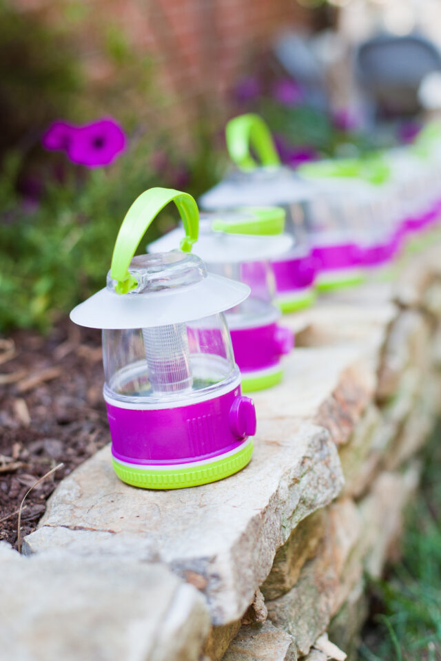 Emily Maynard Glam Camping Birthday Party